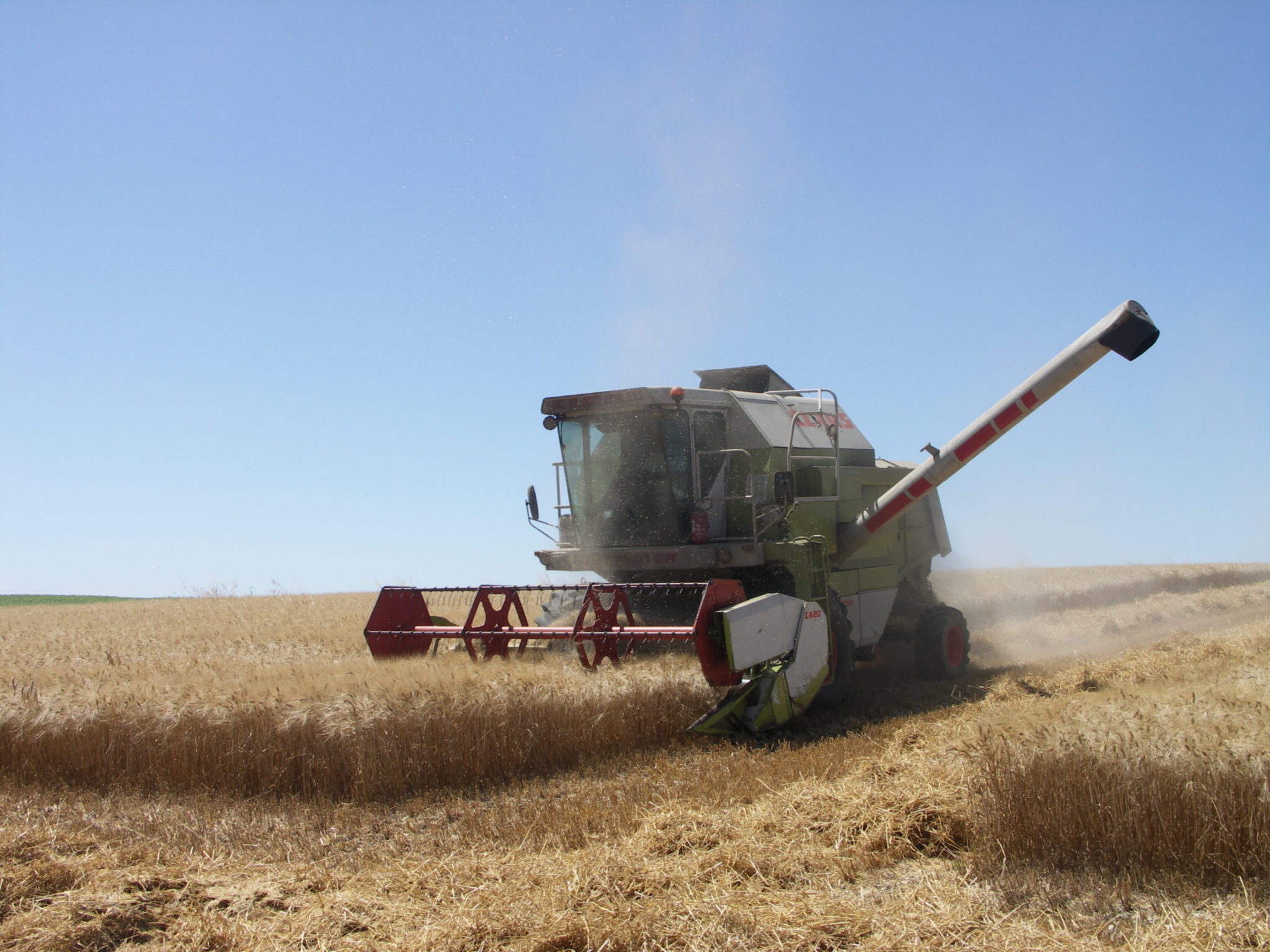 Moissons 2021 Récoltes retardées et rendements très disparates