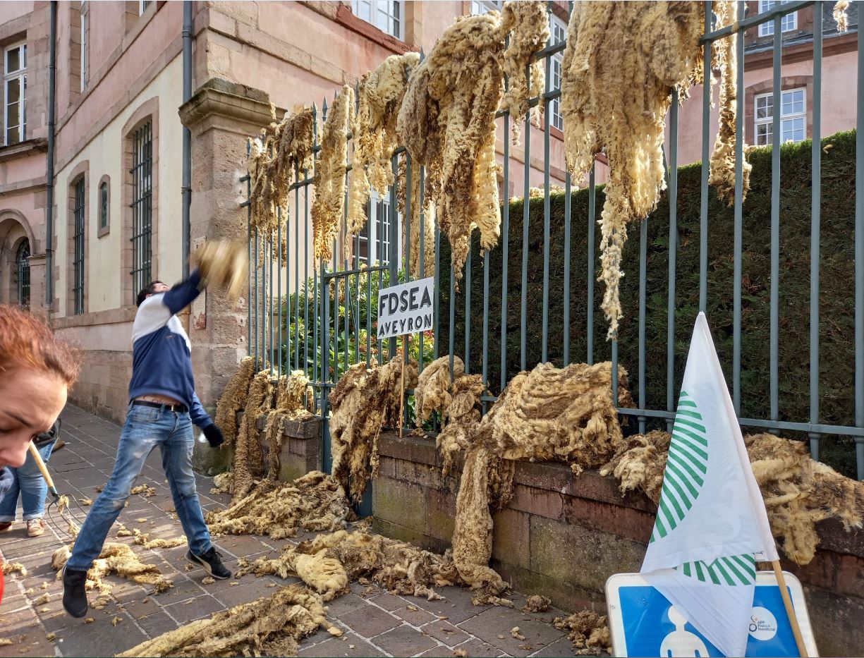 Prédation des troupeaux  FDSEA, JA et Syndicat d’Elevage Ovin du Lot solidaires de la mobilisation nationale