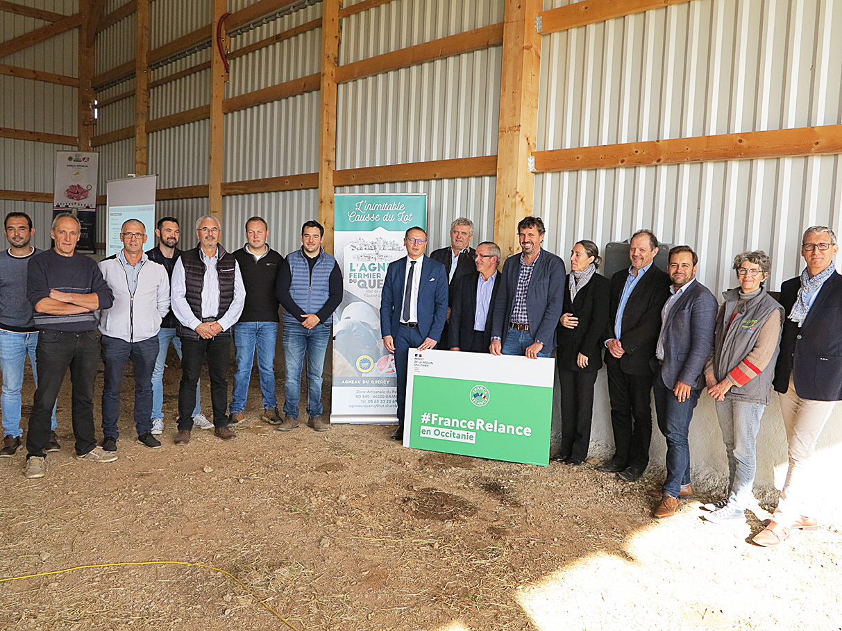 Filière ovine Lancement du plan de relance