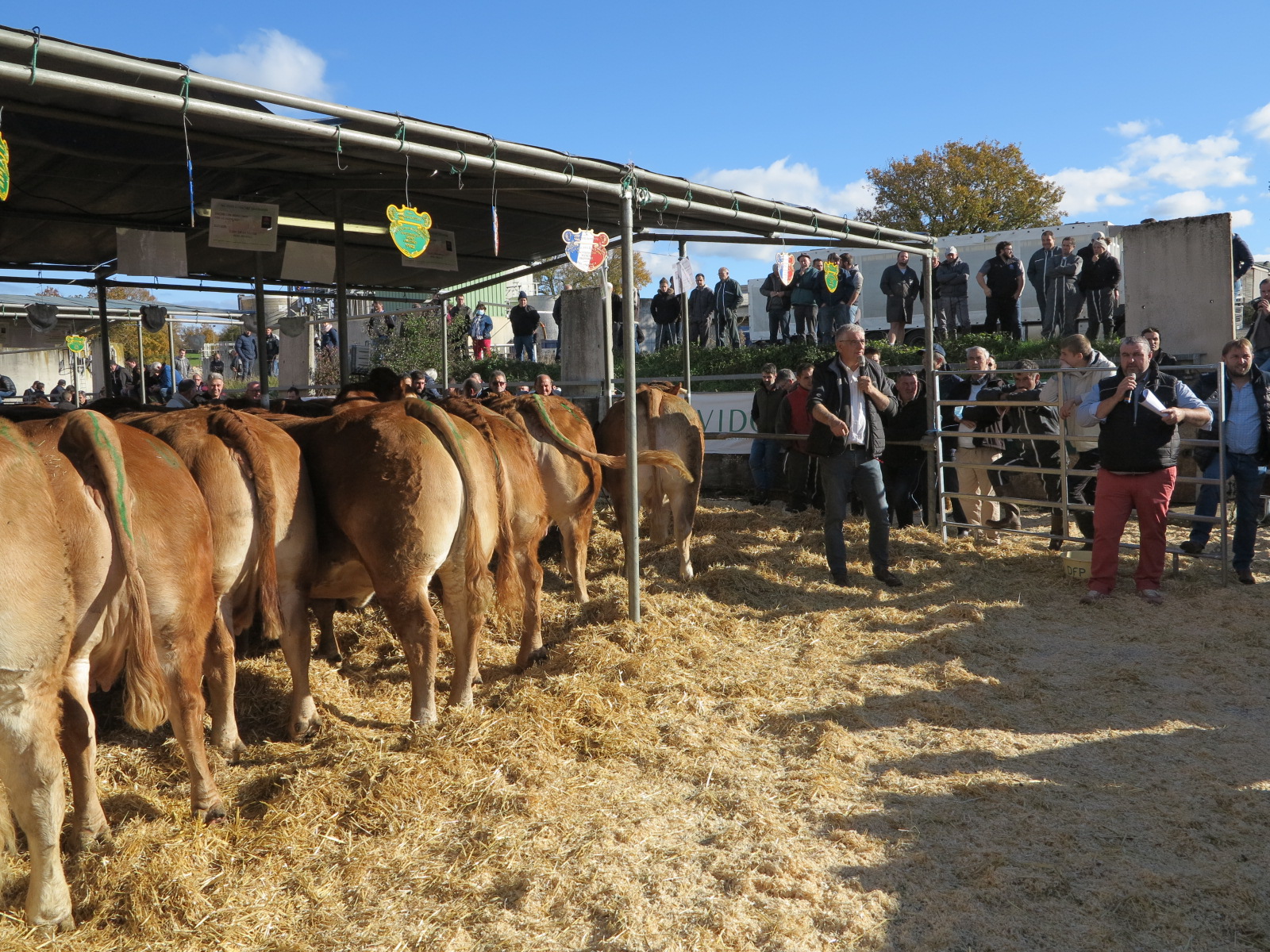 Vente aux enchères de Bovidoc Une première édition très réussie