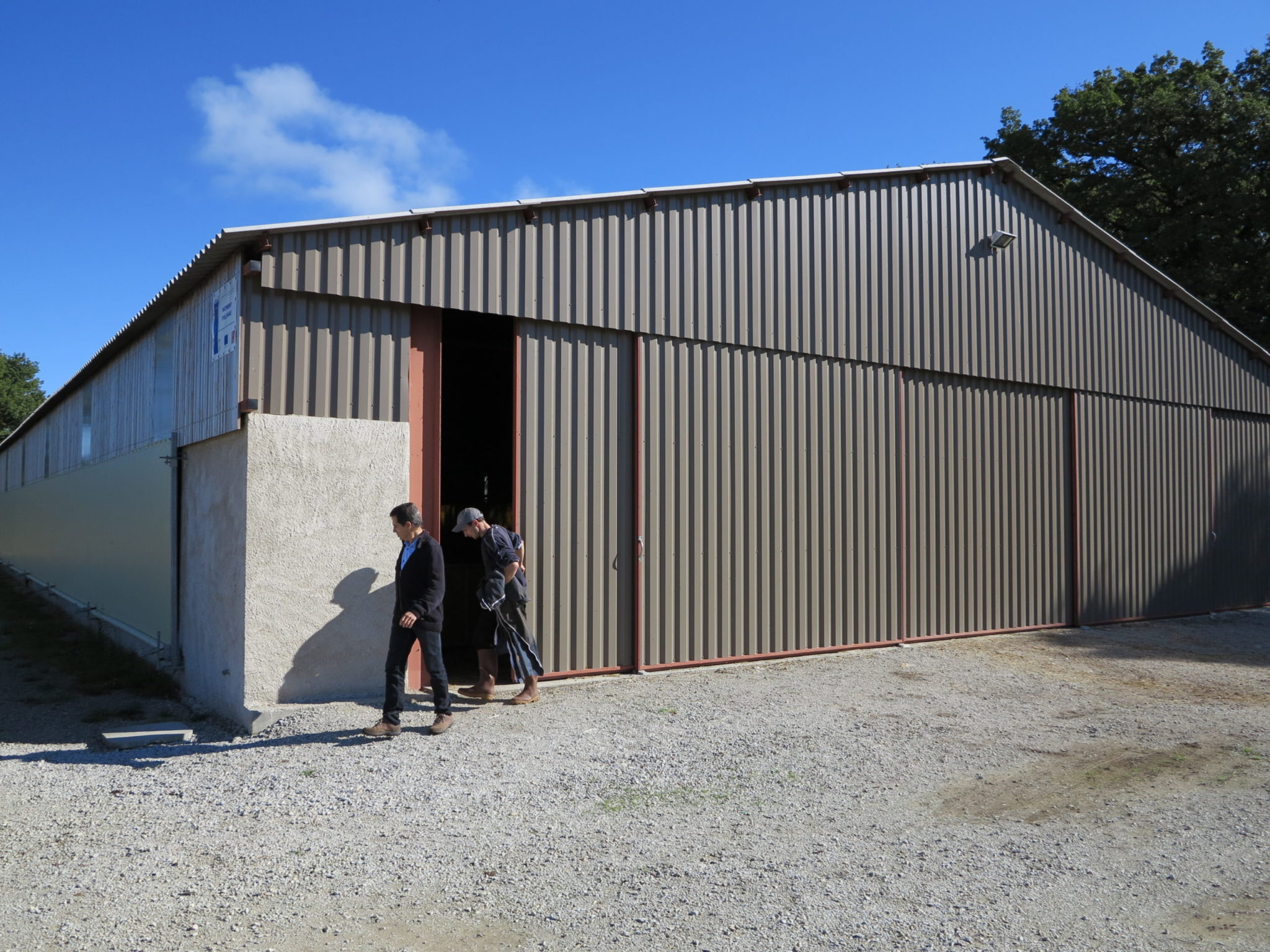 MSA La conception des bâtiments d’élevage, un enjeu majeur  pour l’exploitant