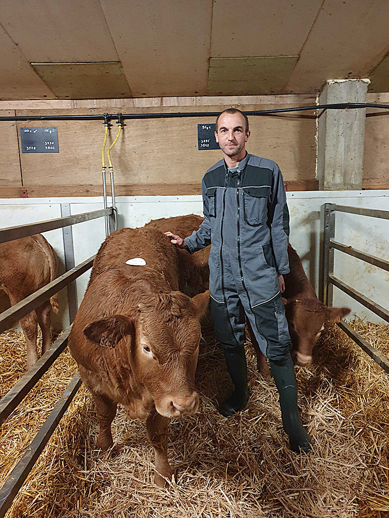 Veaux sous la mère Ils ont le veau dans la peau !