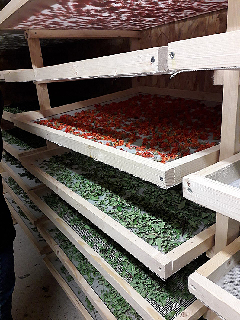 PPAM Rencontres sur leur séchage