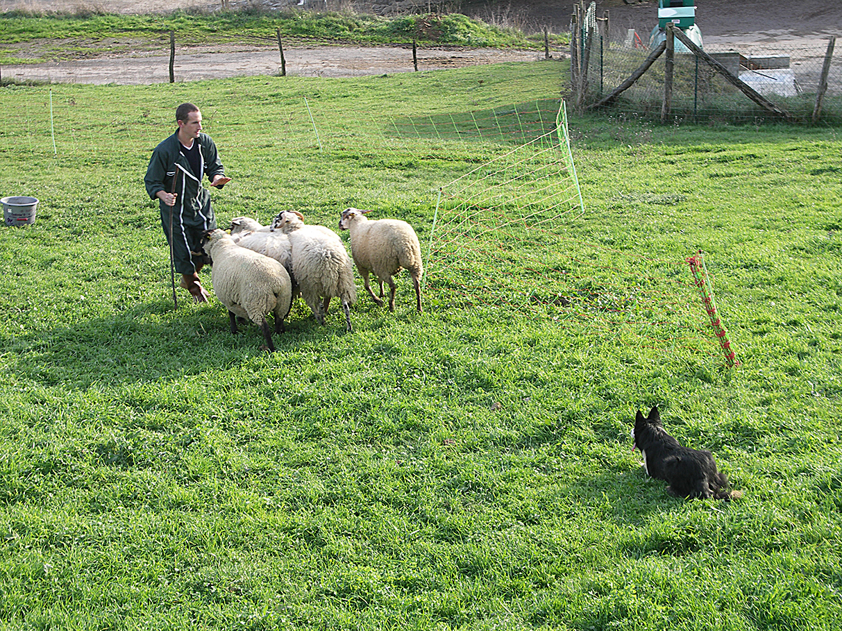 Une étude de la MSA Recul des installations en 2020
