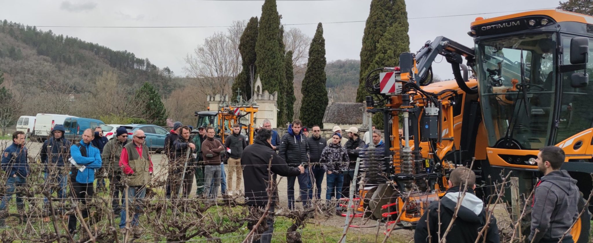 Viticulture  Une belle démonstration de pré-taille et taille rase de précision