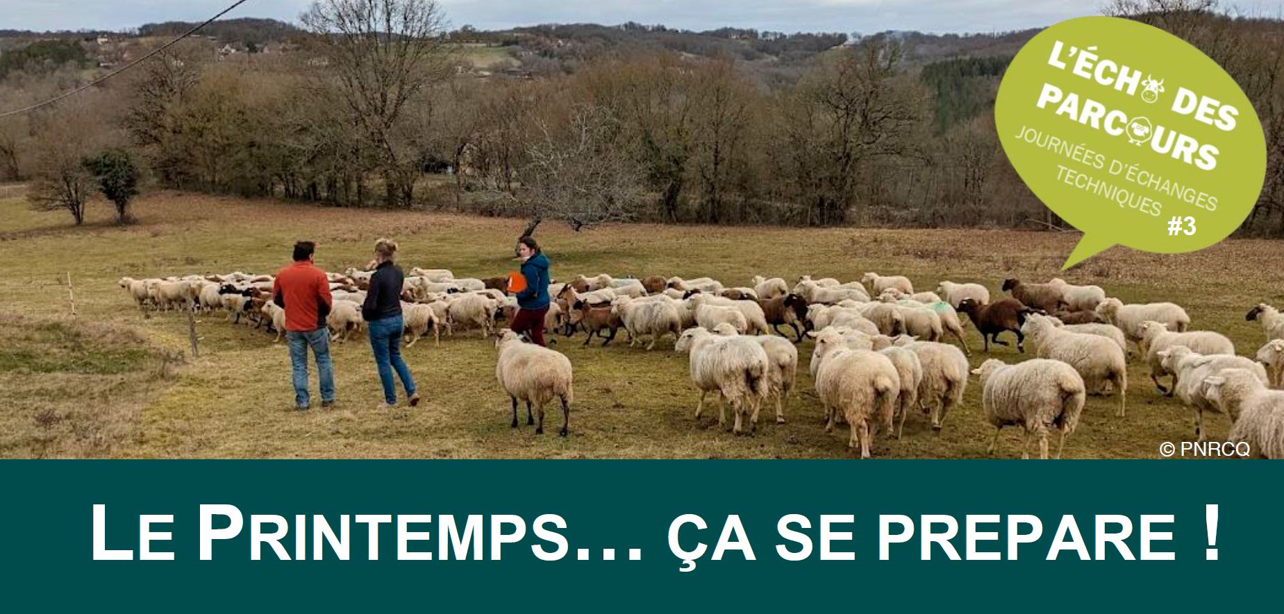 Le printemps… Ça se prépare&nbsp;!