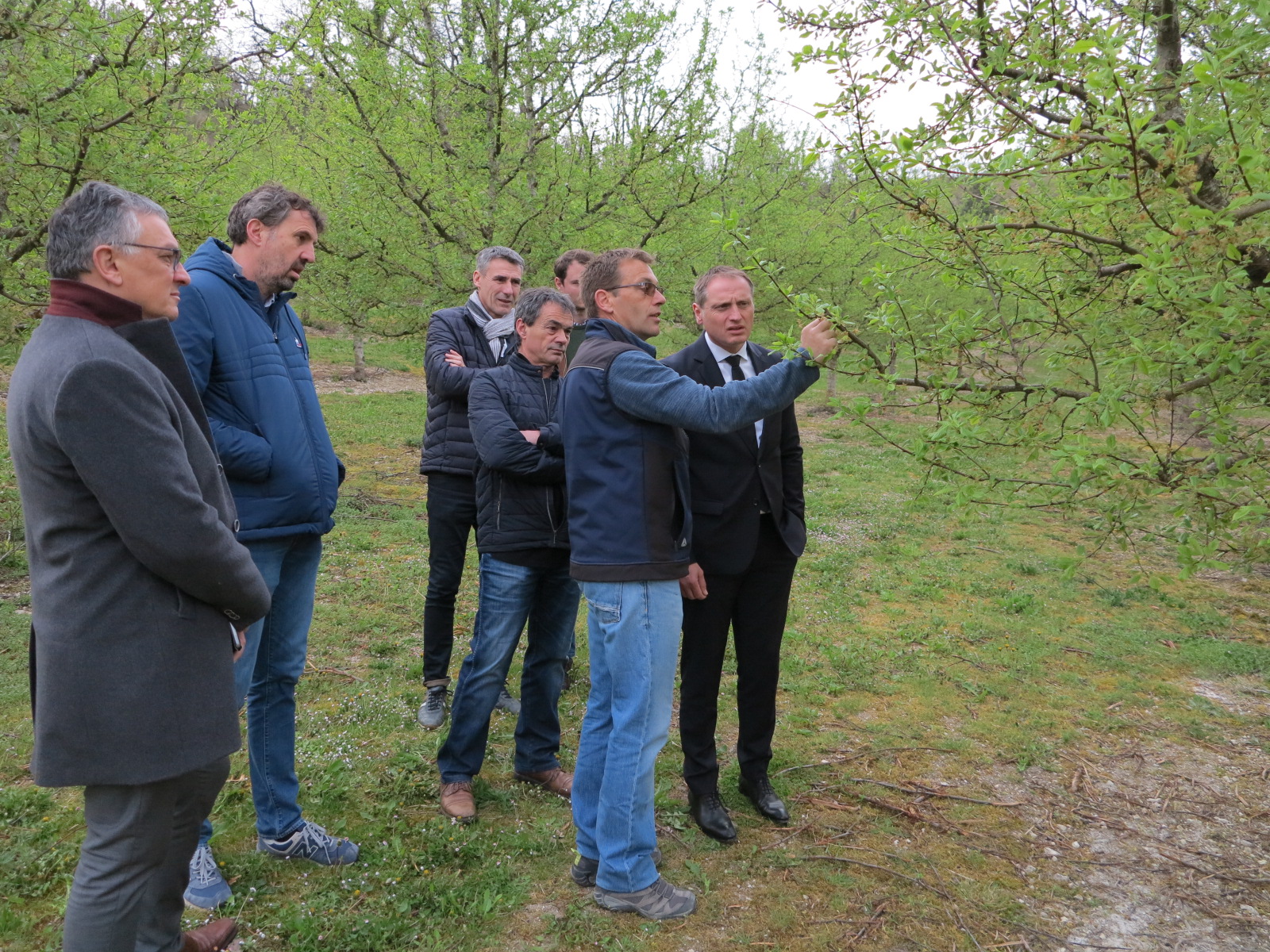 Dégâts du gel&nbsp;: Le Préfet et la profession auprès des sinistrés