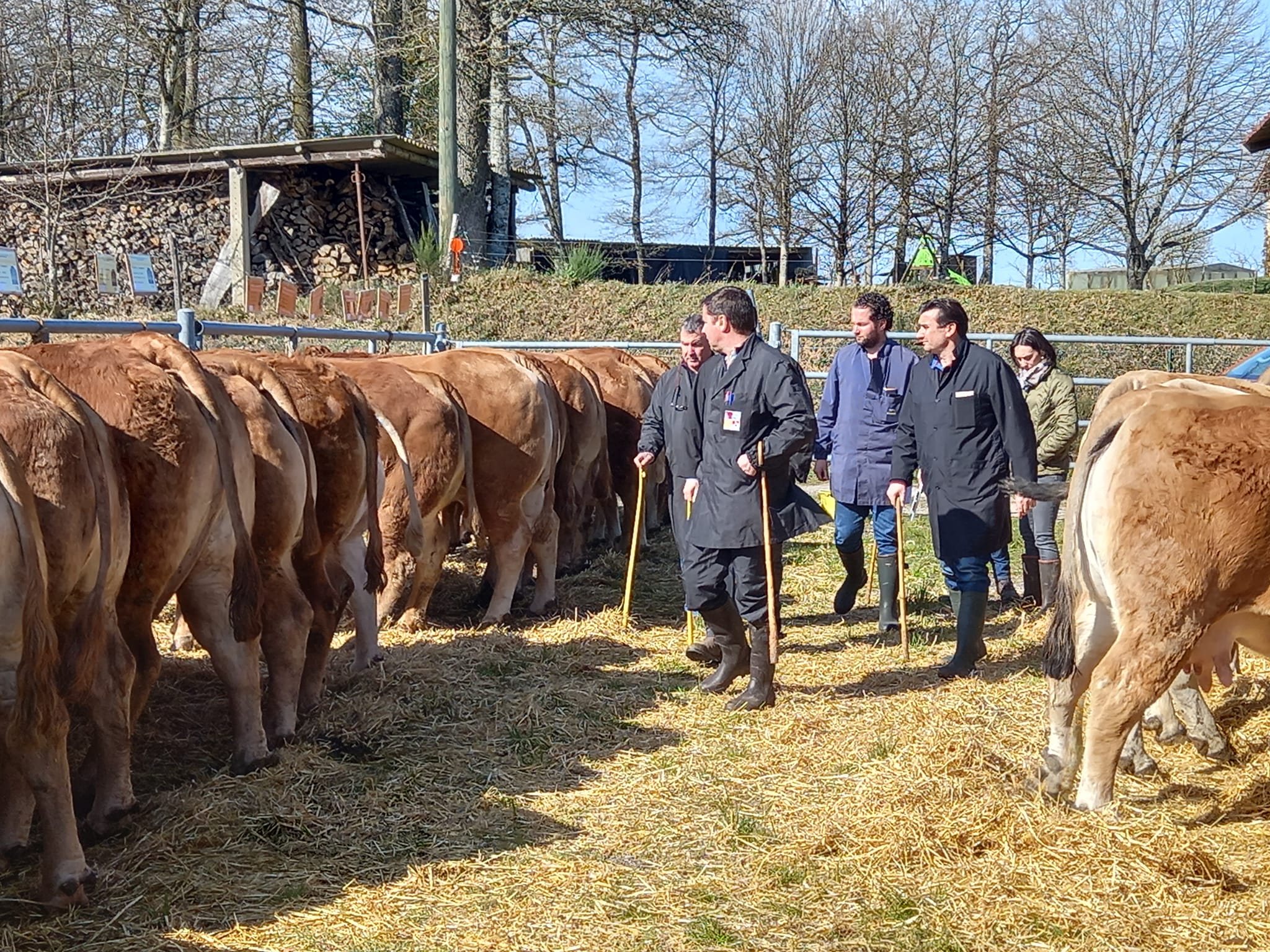Foire de Montet et Bouxal&nbsp;: Une belle vente d&rsquo;animaux