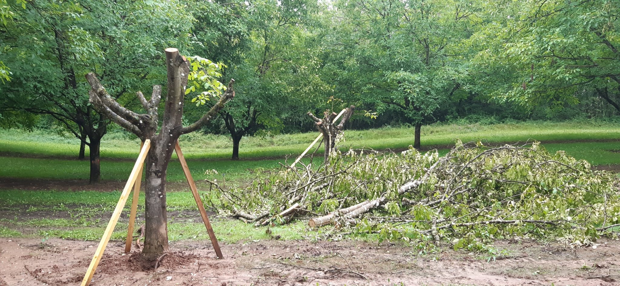 INFO solde gel aval 2021 pour la filières fruits