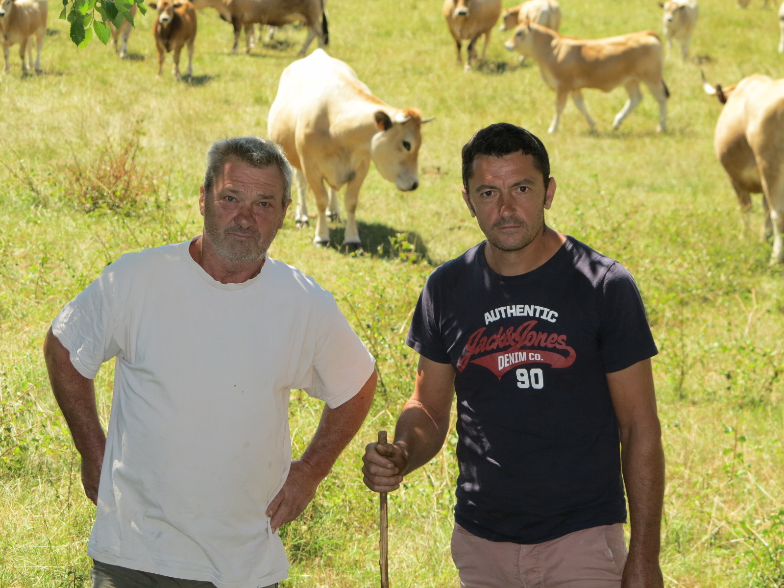 Promilhanes&nbsp;: Un jeune éleveur bovin très motivé