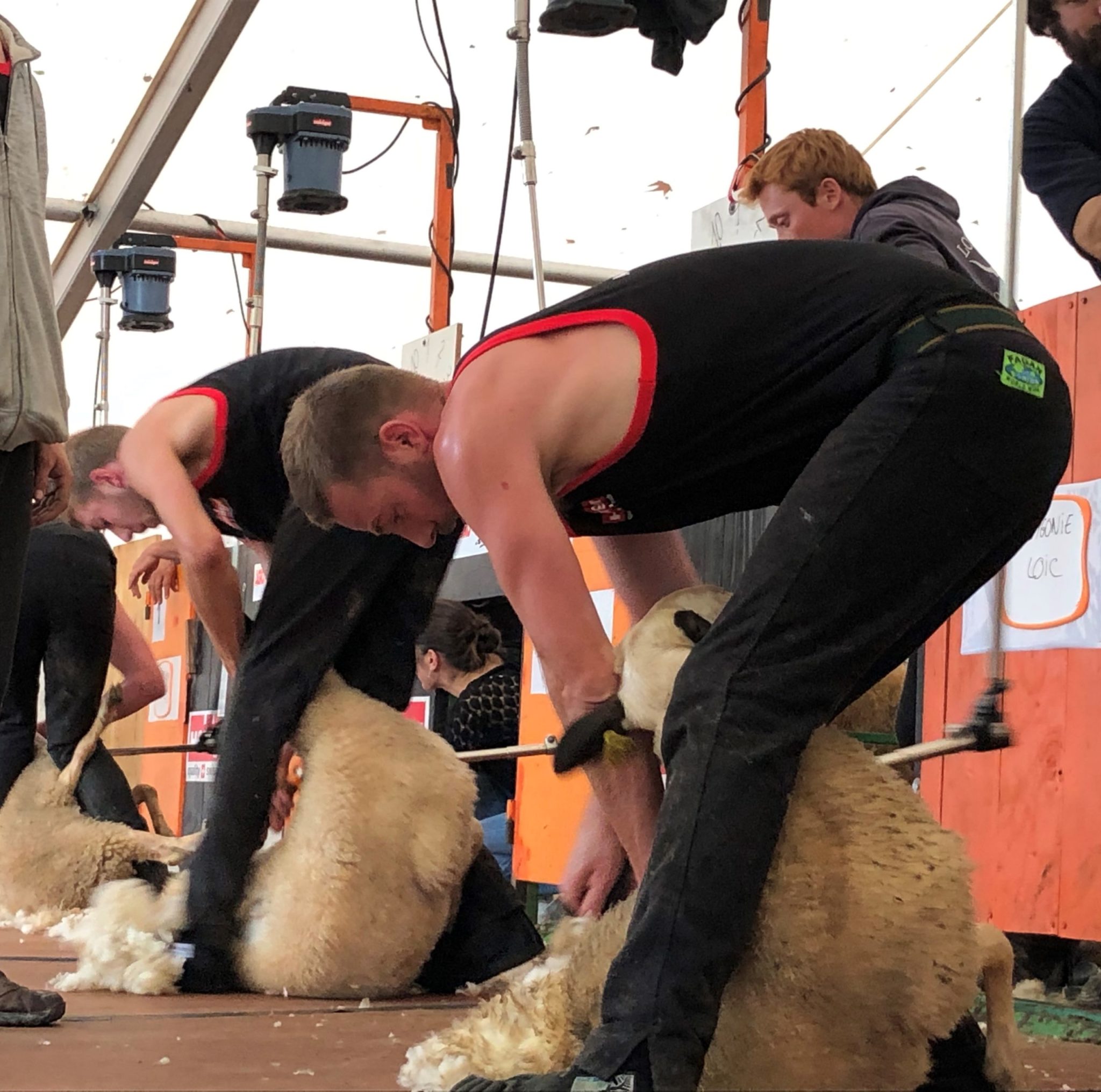 Jeudi 14 juillet&nbsp;: Fête des tondailles à Martel