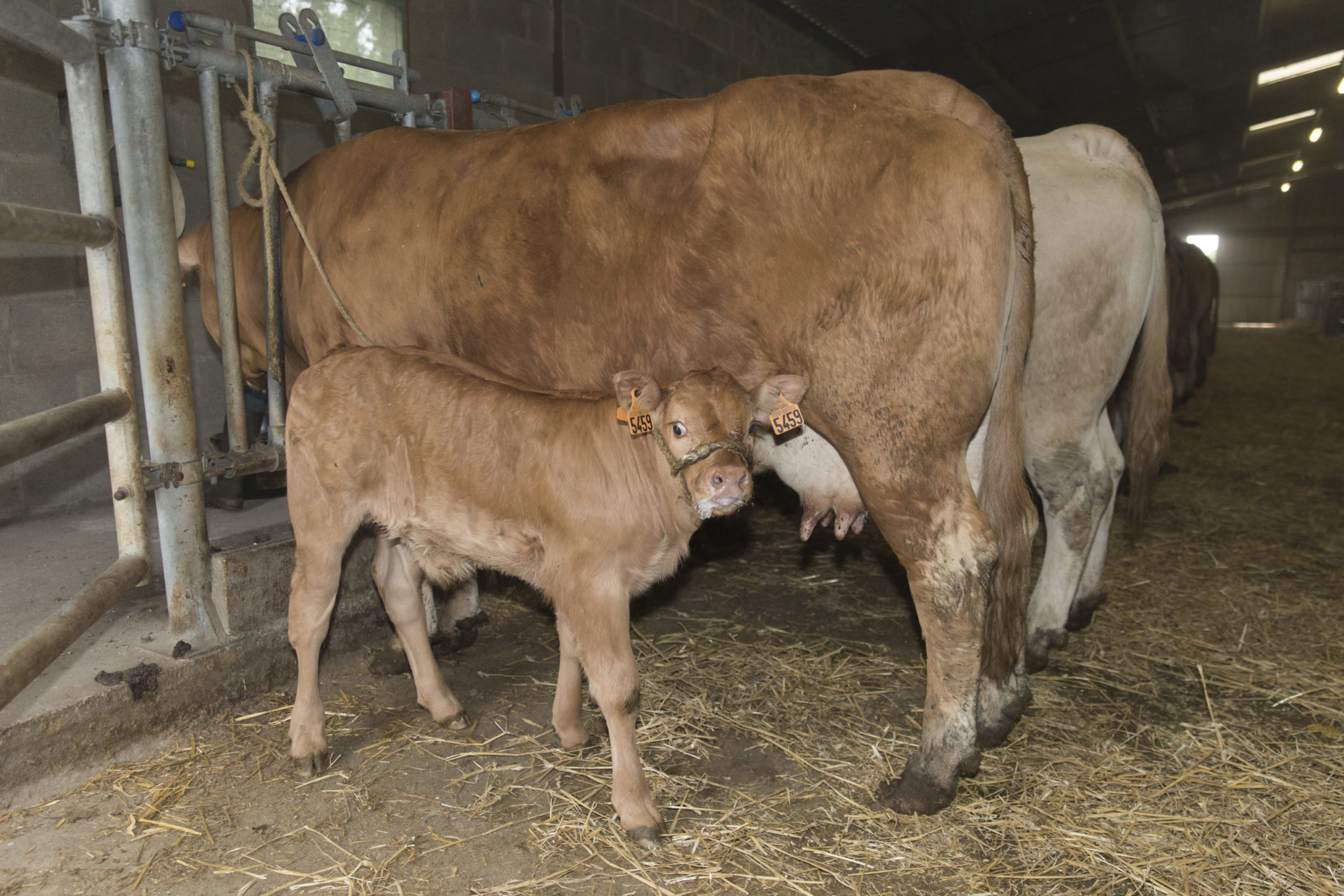 La qualité des peaux à l&rsquo;honneur