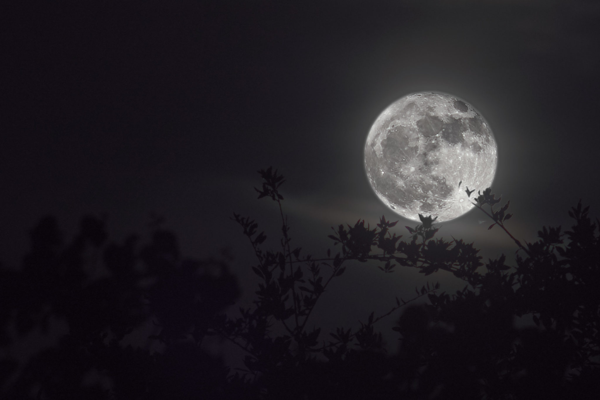 Jardinez avec la lune
