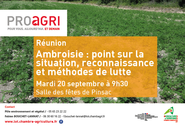 Réunion d&rsquo;information ambroisie le 20 septembre à Pinsac