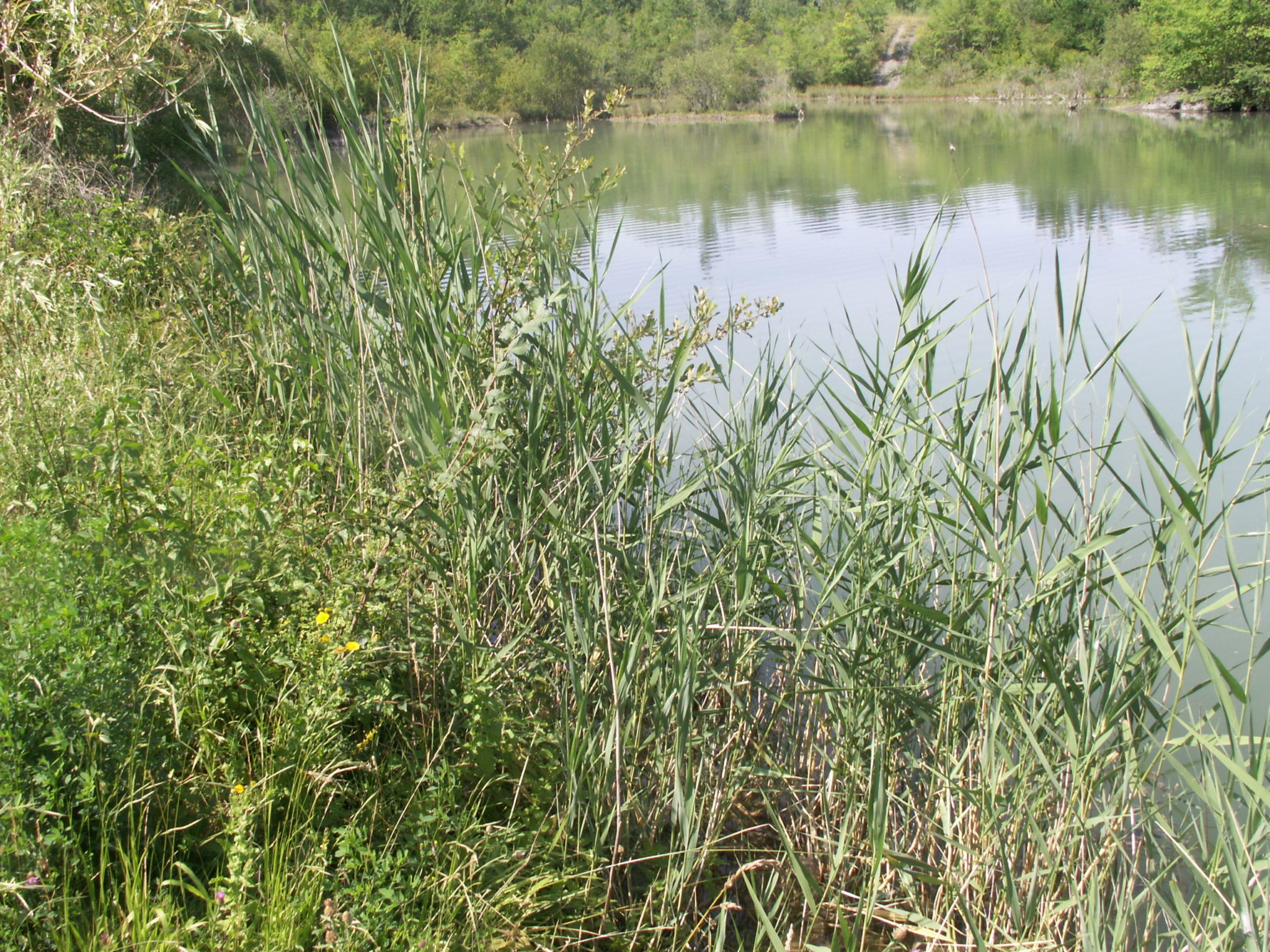 Sortie nature à Puy Blanc