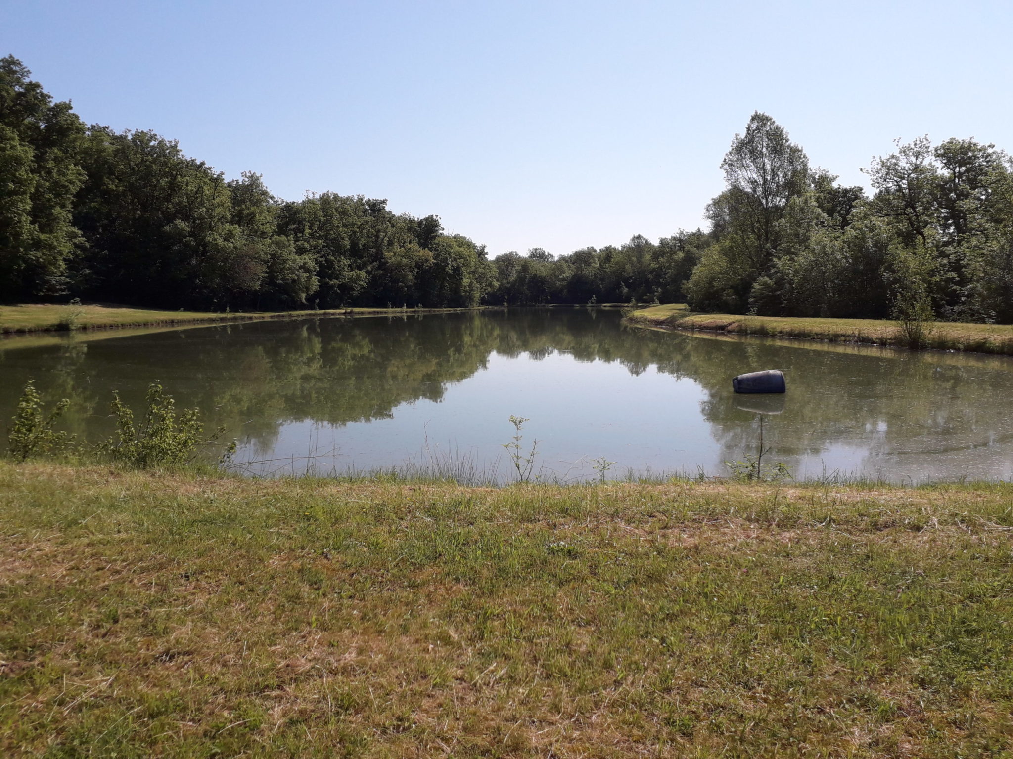 Aide curage et réhabilitation des plans d’eau&nbsp;: Augmentation des taux de subvention et prolongation jusqu’au 7 novembre