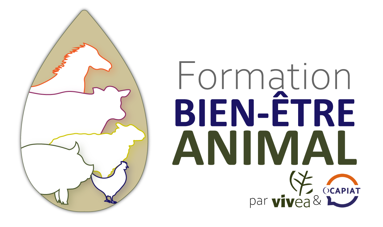 Nouveautés pour le Bien Être Animal en porc et volailles