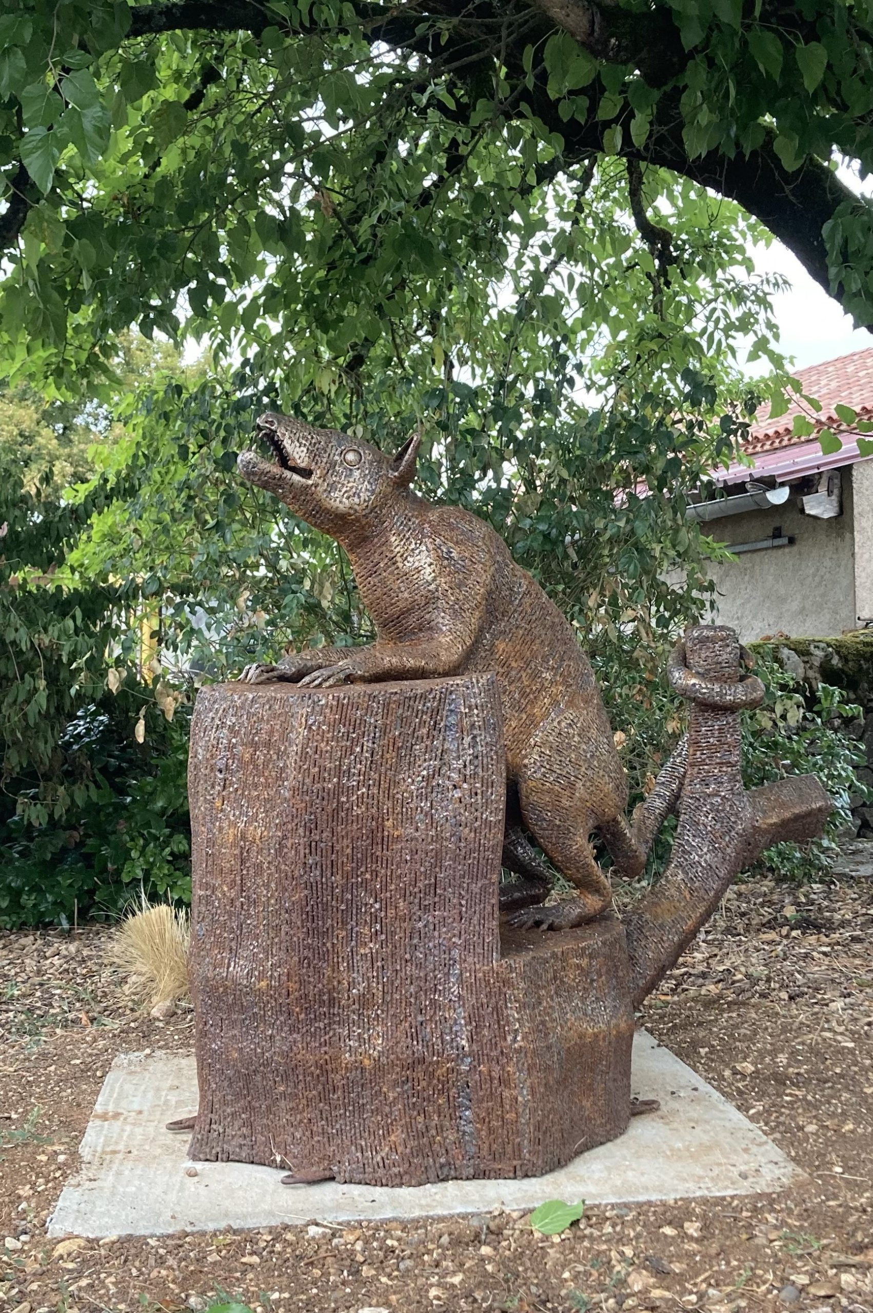 A vélo pour nos fossiles !