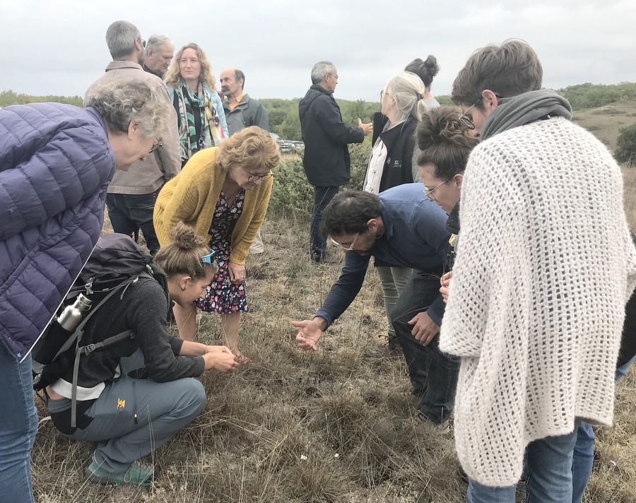 Action autour du pastoralisme