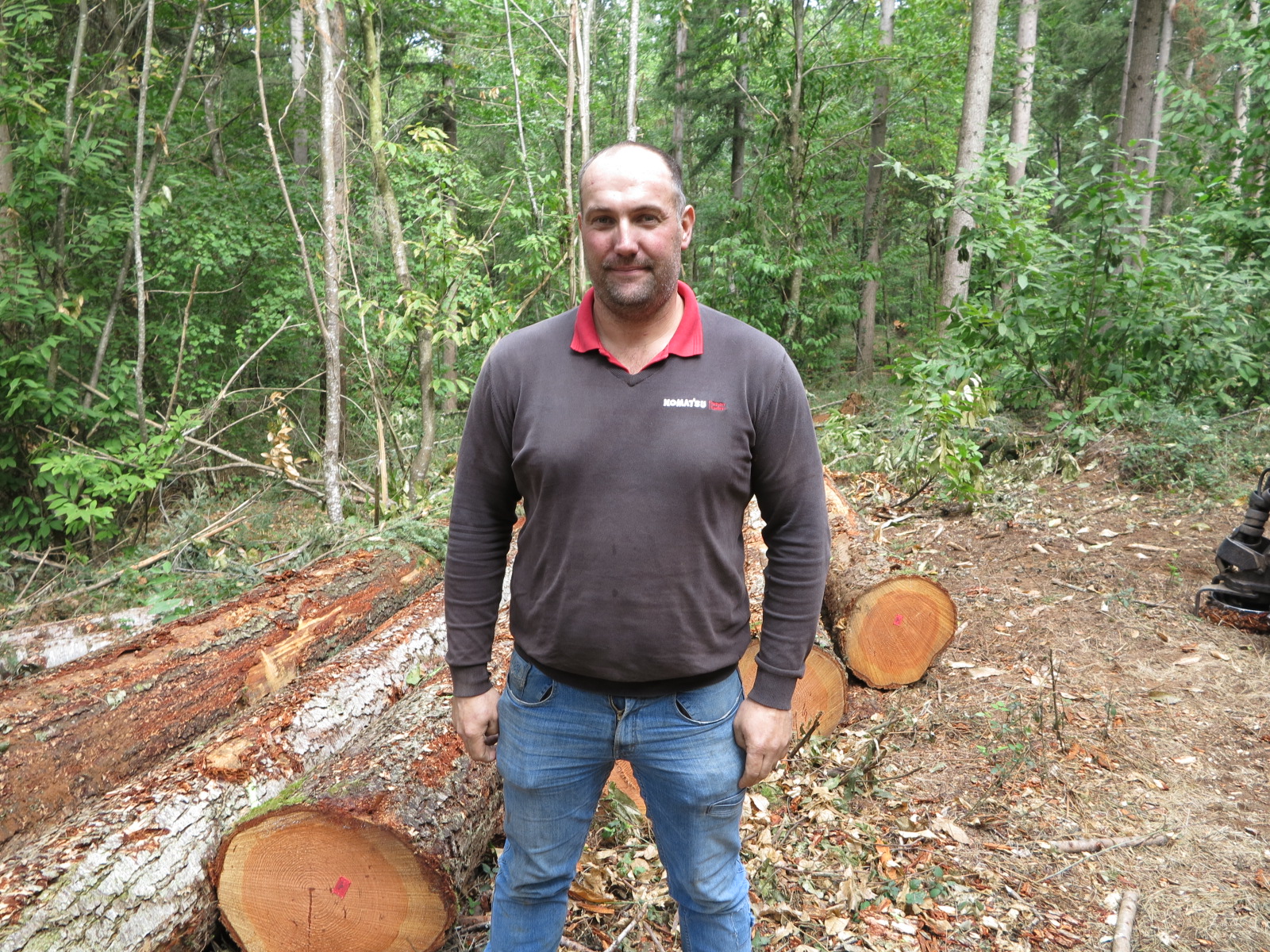 L’éclaircie mécanisée pour diminuer la pénibilité du travail