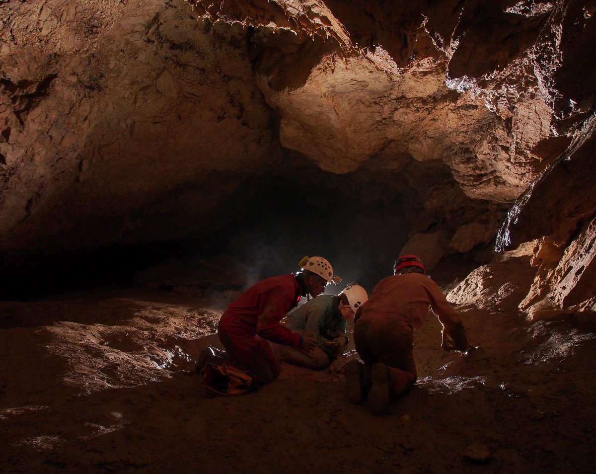 Une conférence pour mieux connaître la microfaune souterraine