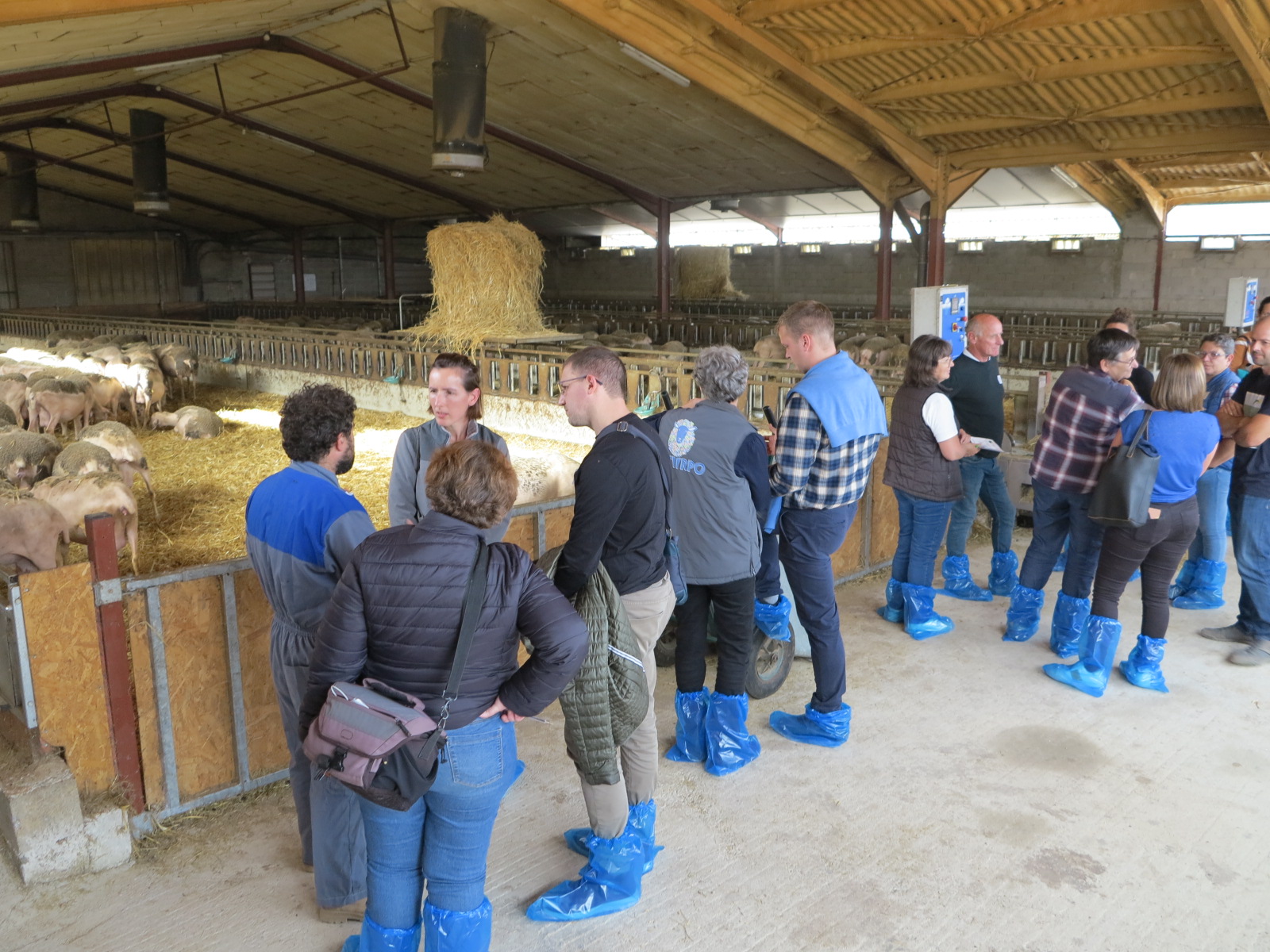 Journées Techniques Ovines nationales&nbsp;: Préparer l’élevage ovin aux nouveaux enjeux