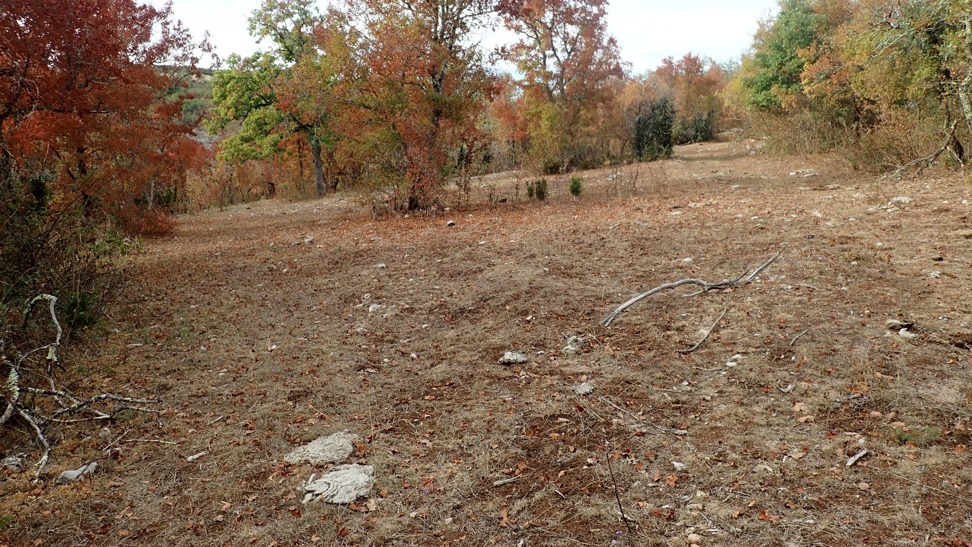 Sécheresse&nbsp;: Comment utiliser les surfaces pastorales après la sécheresse 2022&nbsp;?