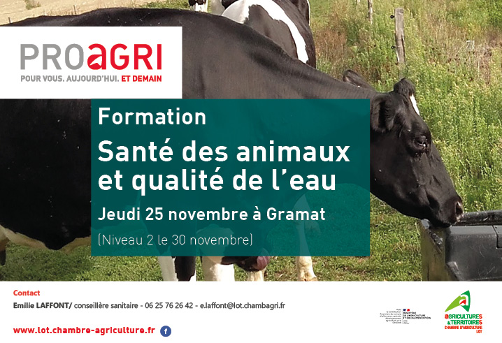 Formation&nbsp;: Santé des animaux et qualité de l&rsquo;eau