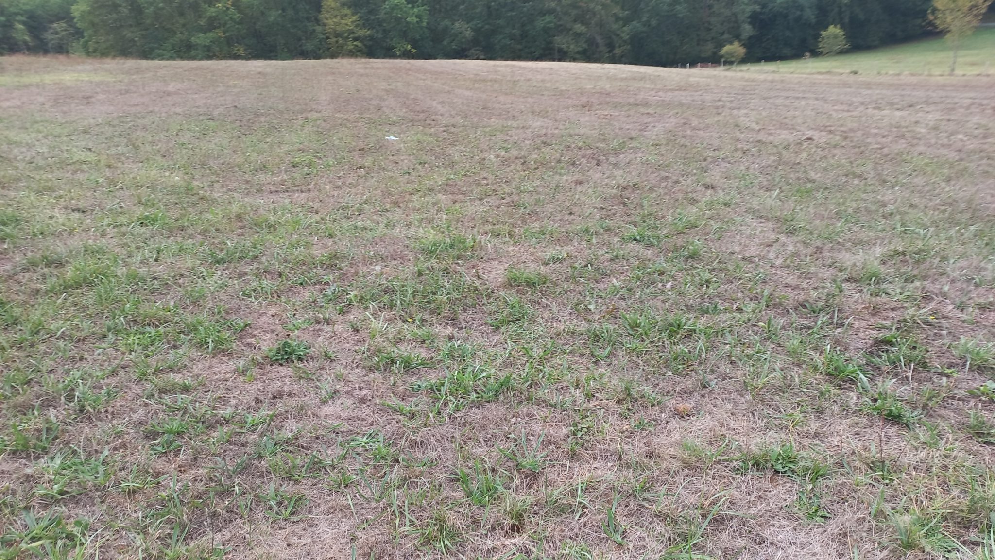 S’adapter à la sécheresse précoce de 2025