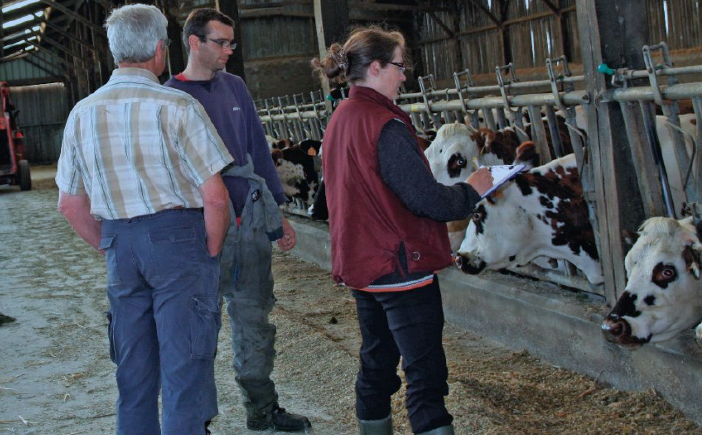 Charte des bonnes pratiques&nbsp;: Ce qui change pour les laitiers