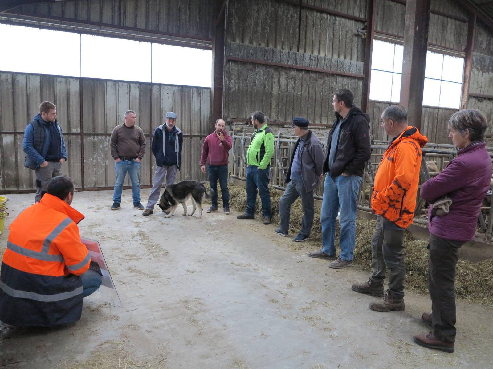 Litières animales&nbsp;: Utilisation de la plaquette forestière