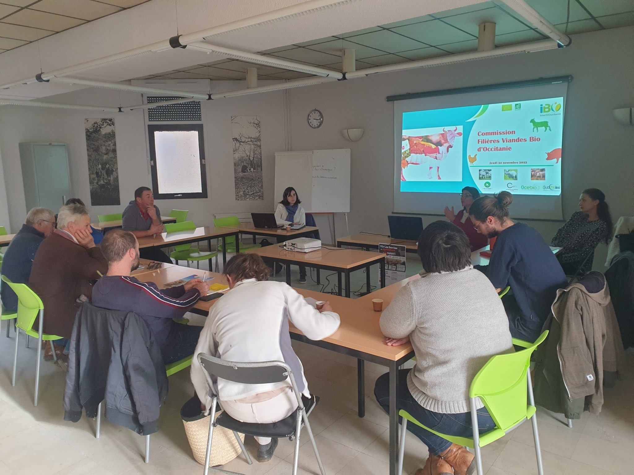 Réglementation bovins bio&nbsp;: Une journée d’échanges instructive