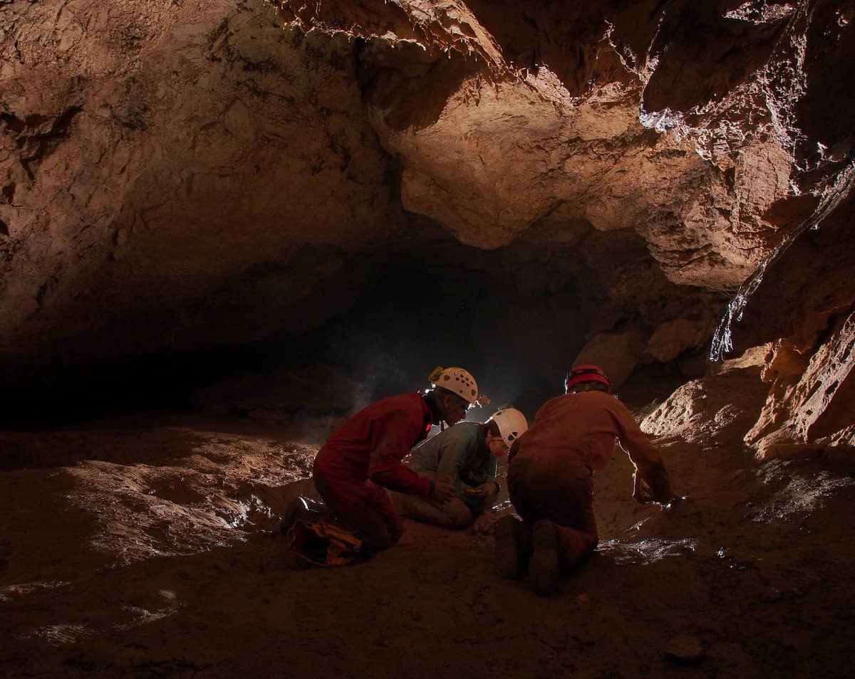 Une conférence pour mieux connaître la microfaune souterraine