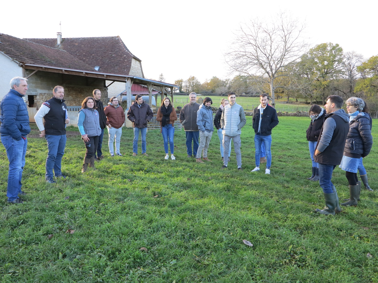 Formations ovines du plan de relance&nbsp;: Maîtrise des concentrés et conditions de travail