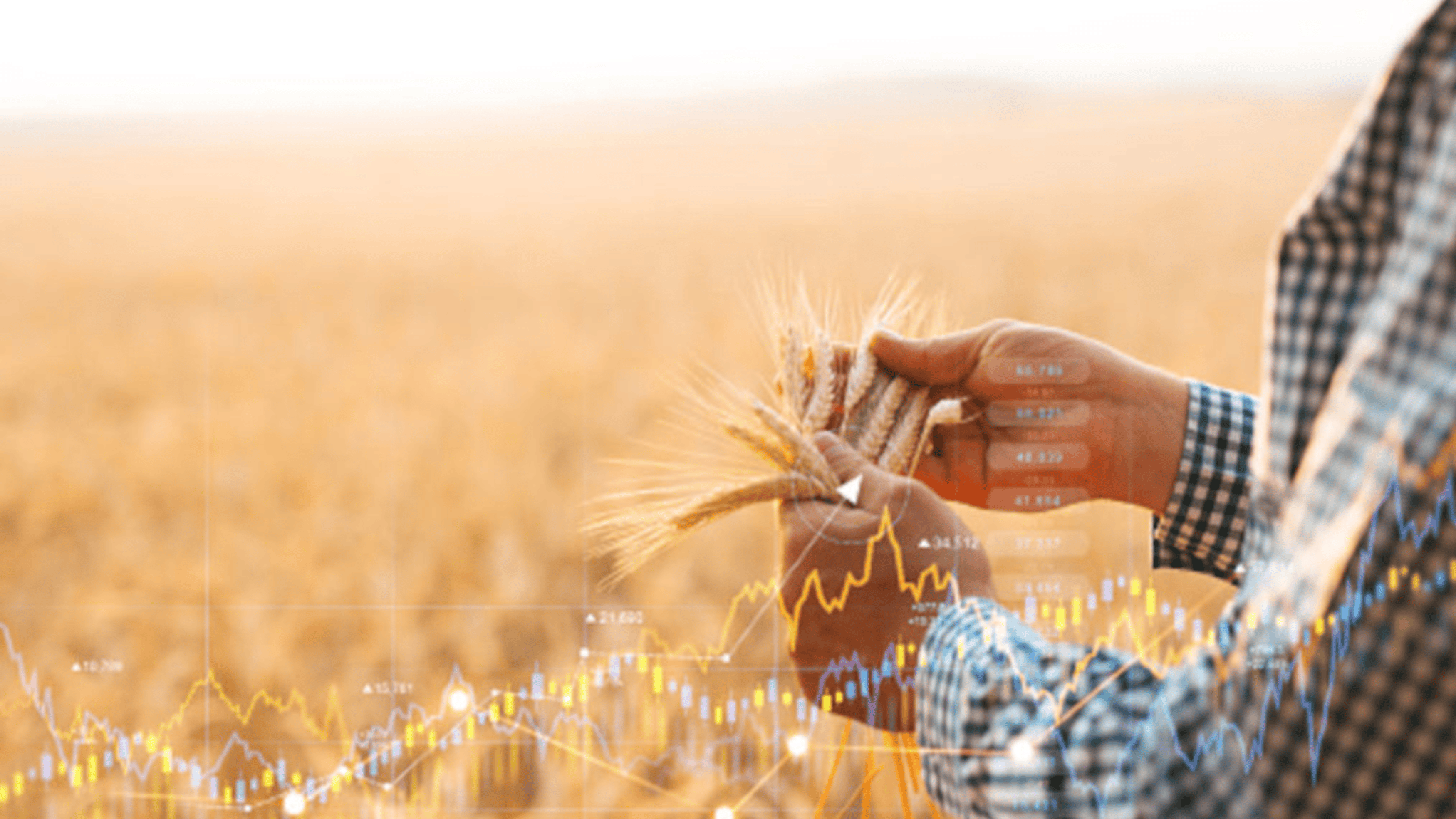 Mes marchés&nbsp;: l’essentiel de l’info