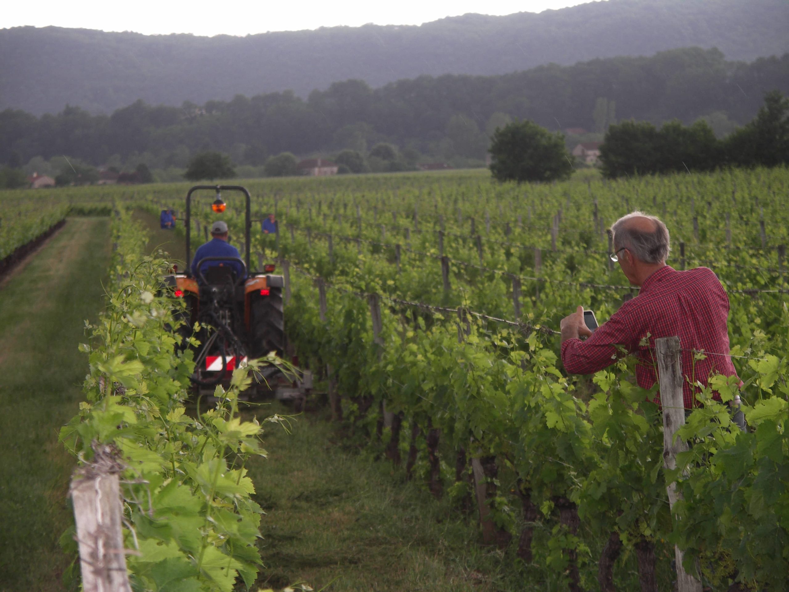 Arrachage de vignes | Enquête sur le futur dispositif d&rsquo;aide à l&rsquo;agriculture&nbsp;: participez jusqu&rsquo;au 12 juin