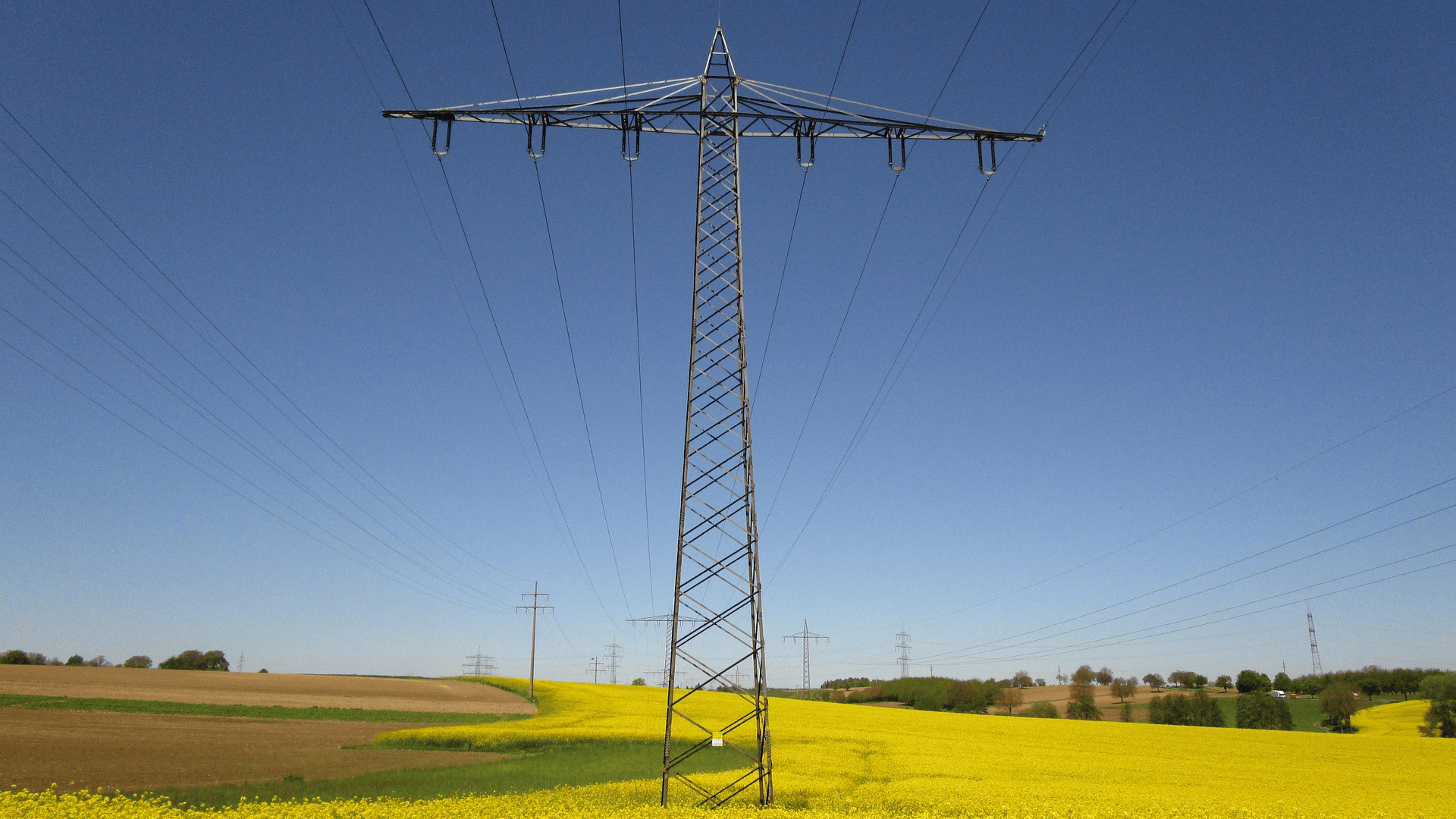 Enquête sur les Installations Électriques en Élevage