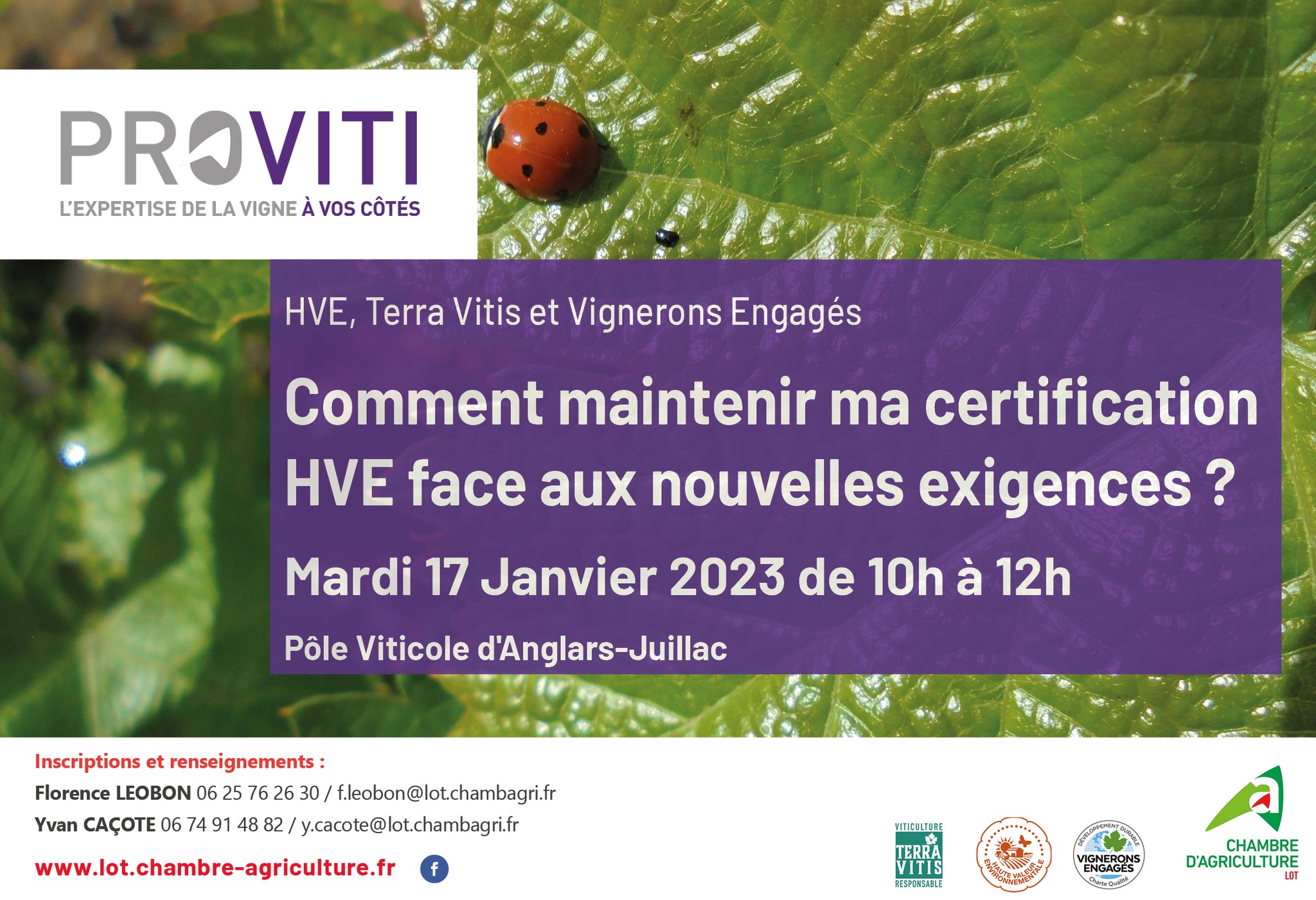 Comment maintenir ma certification HVE face aux nouvelles exigences&nbsp;? Mardi 17 janvier