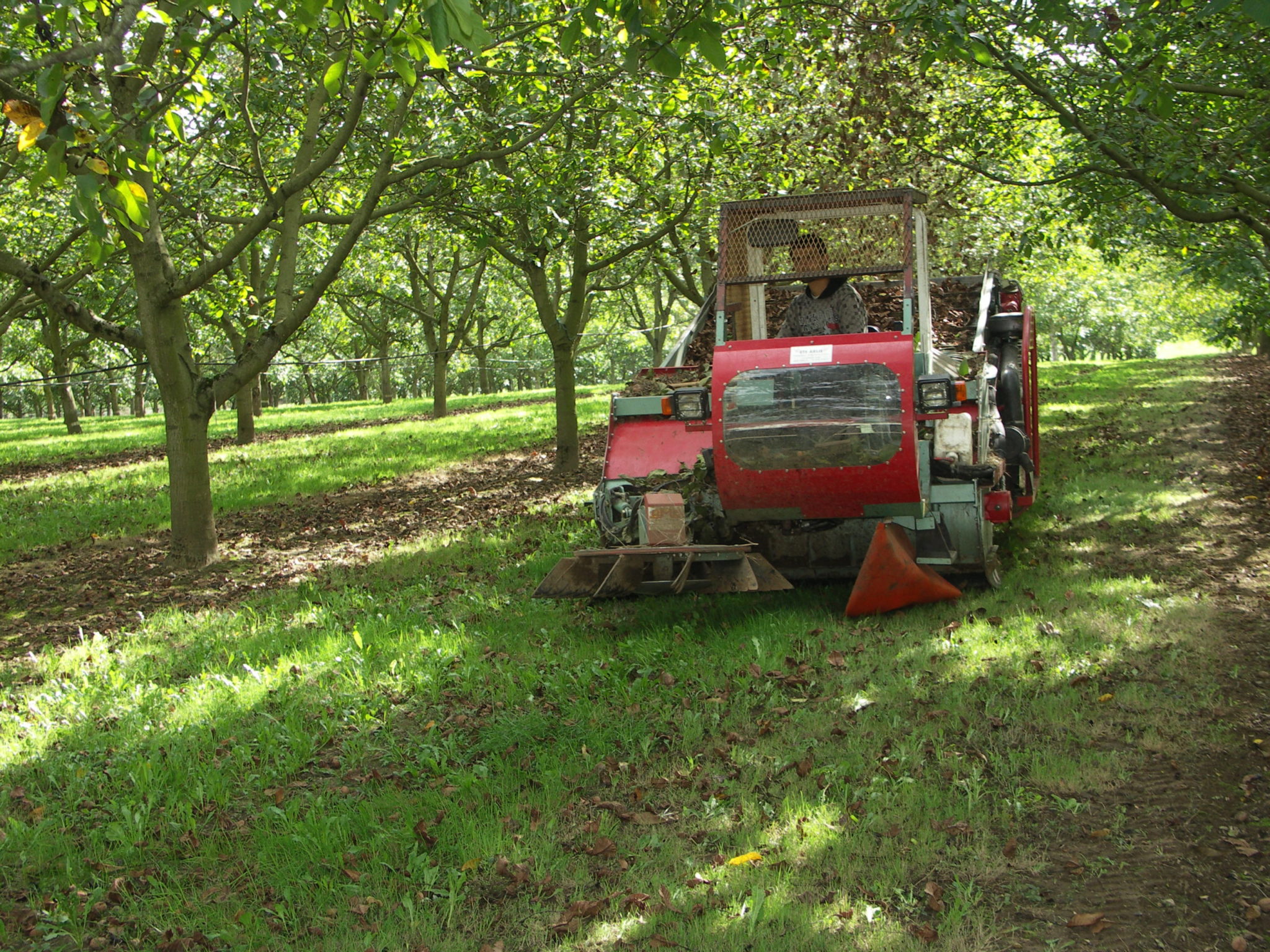 Recensement Général Agricole&nbsp;: Le potentiel agricole Lotois régresse