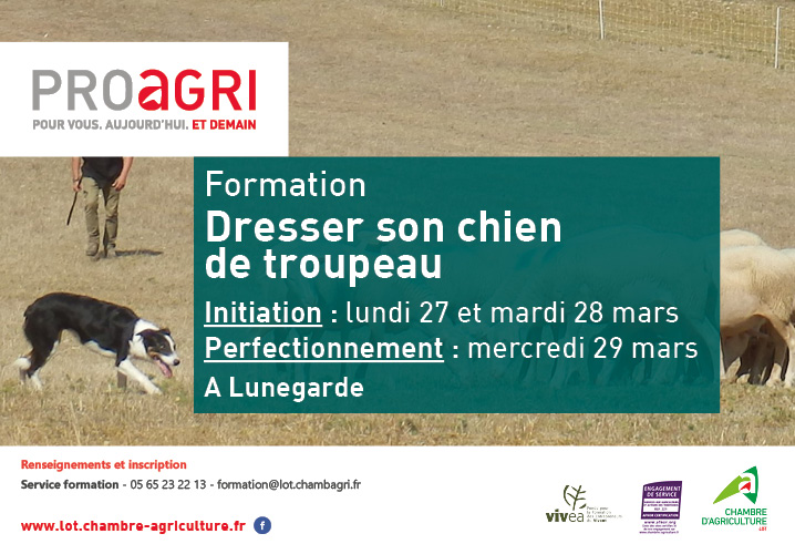 Formation&nbsp;: « Dresser son chien de troupeaux » à Lunegarde, les 27, 28 et 29 mars.