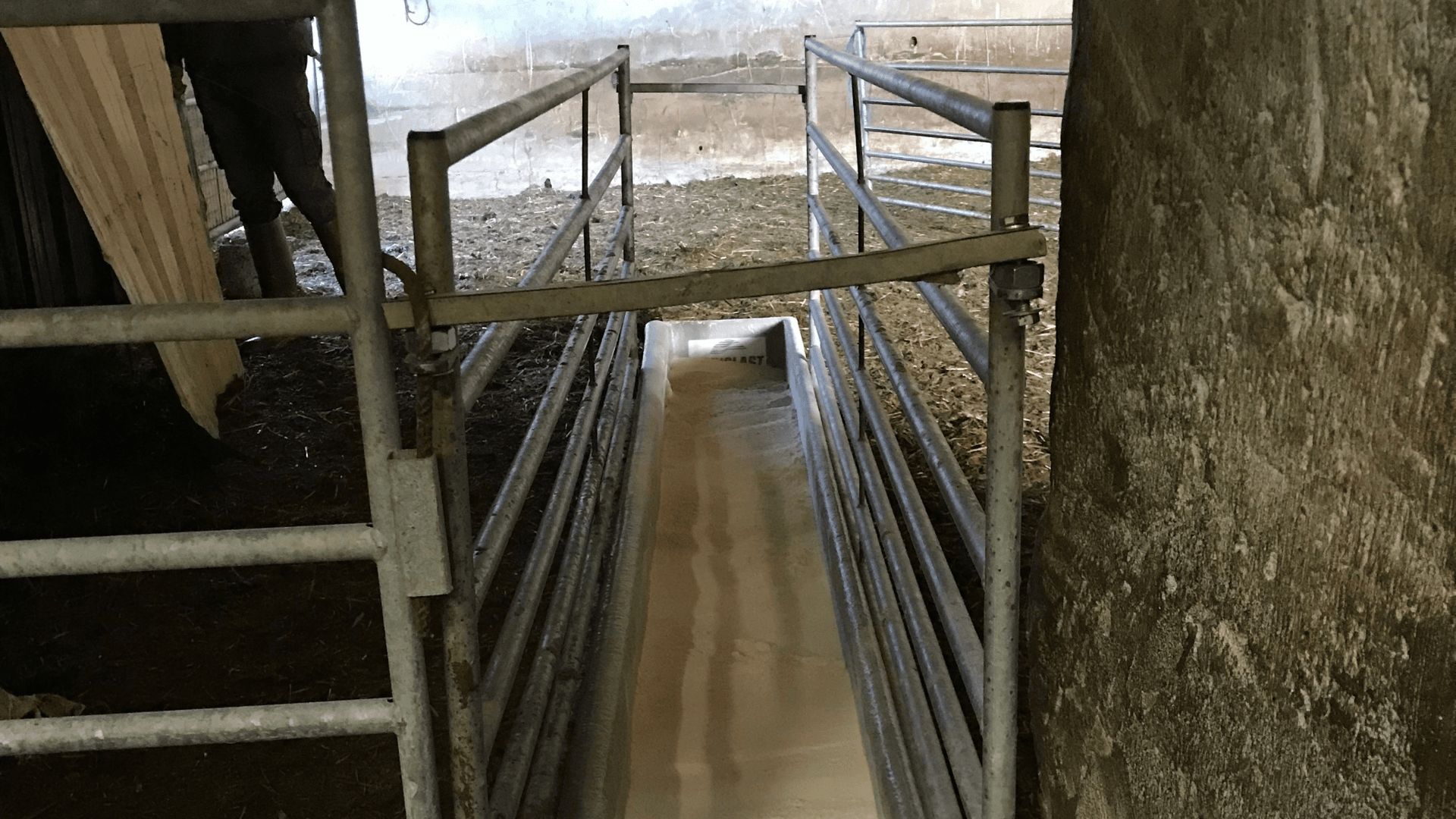 Pédiluve sec : des résultats plutôt satisfaisants