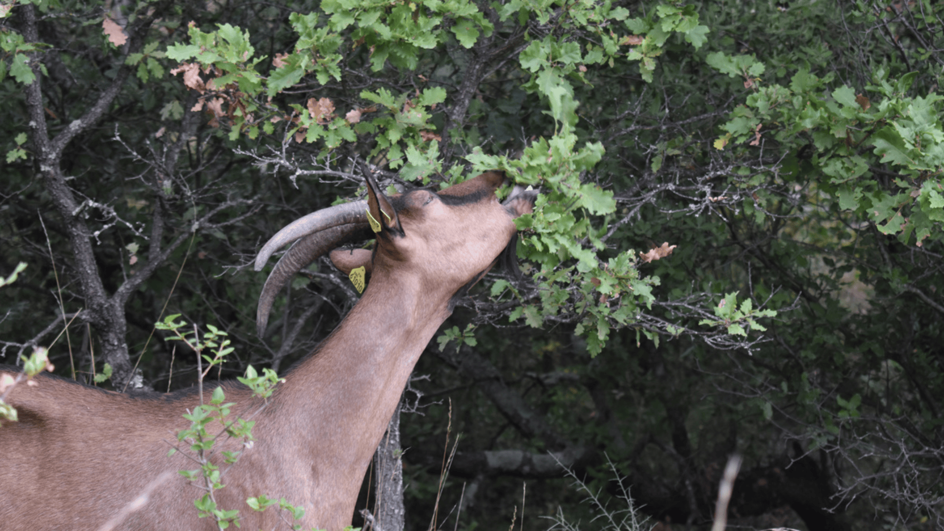 Invitation à la journée de clôture du GO PEI Cap&Go le 14 mars