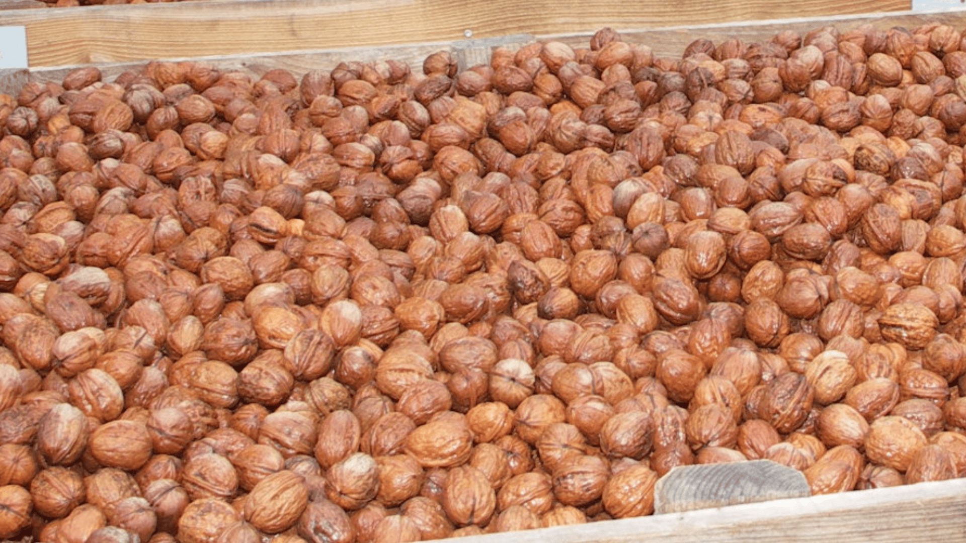 Crise de la noix&nbsp;: La FNSEA sur le pont