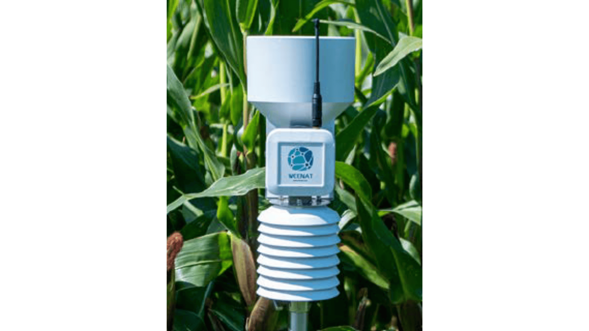 Etude pour un groupement d&rsquo;achat de stations météo connectées