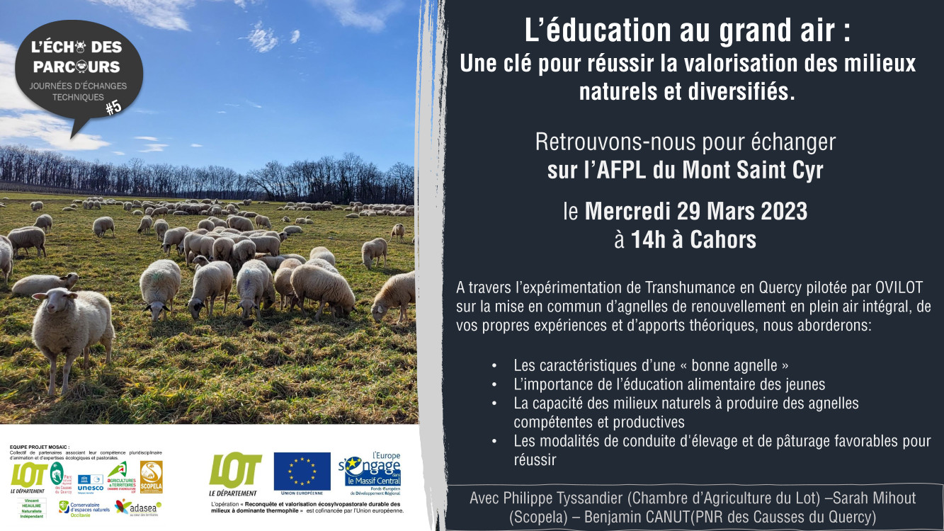 Echo des parcours 5 – Une éducation au grand air&nbsp;!