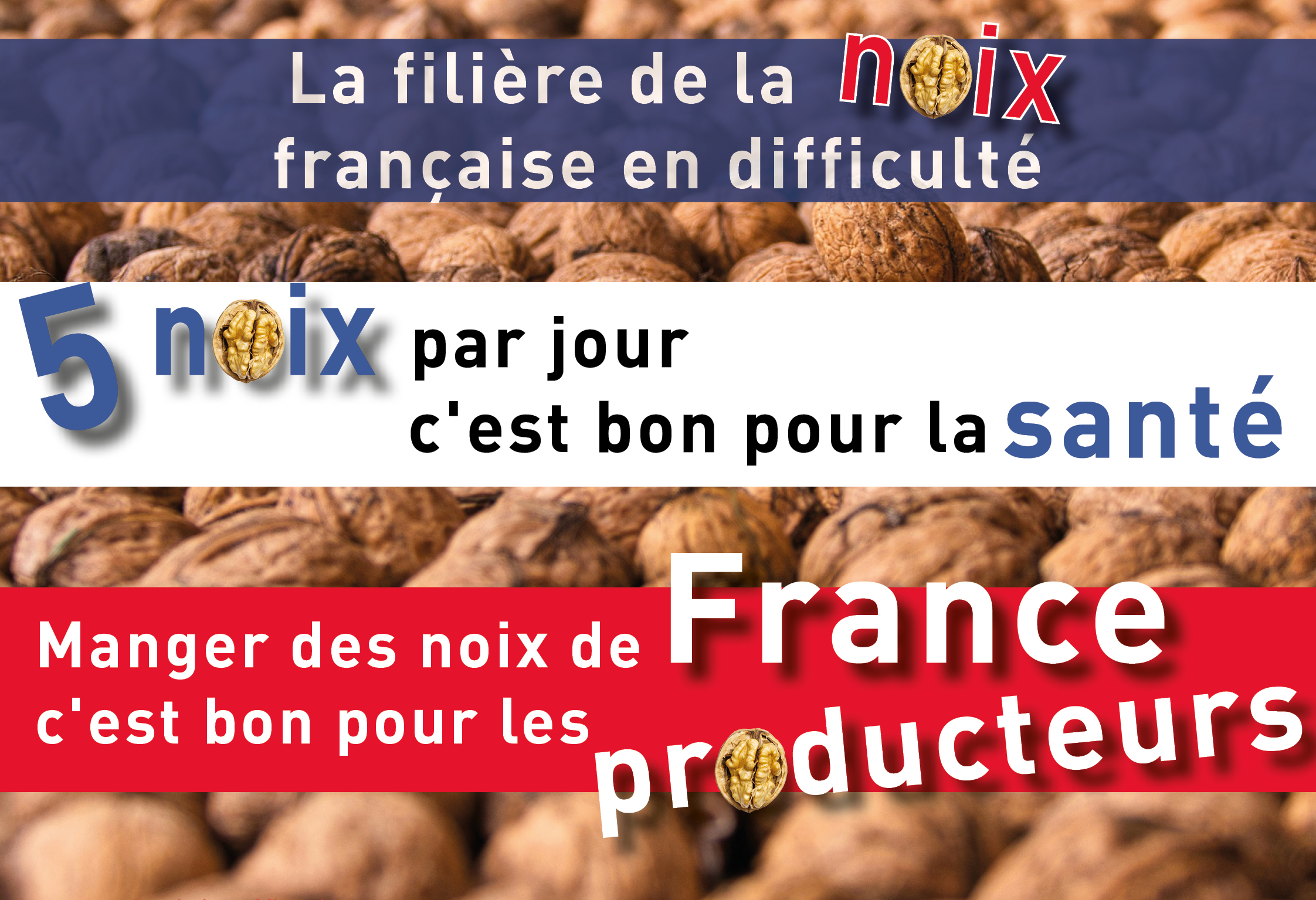 Soutenons la filière noix française&nbsp;: consommons local et préservons notre santé&nbsp;!