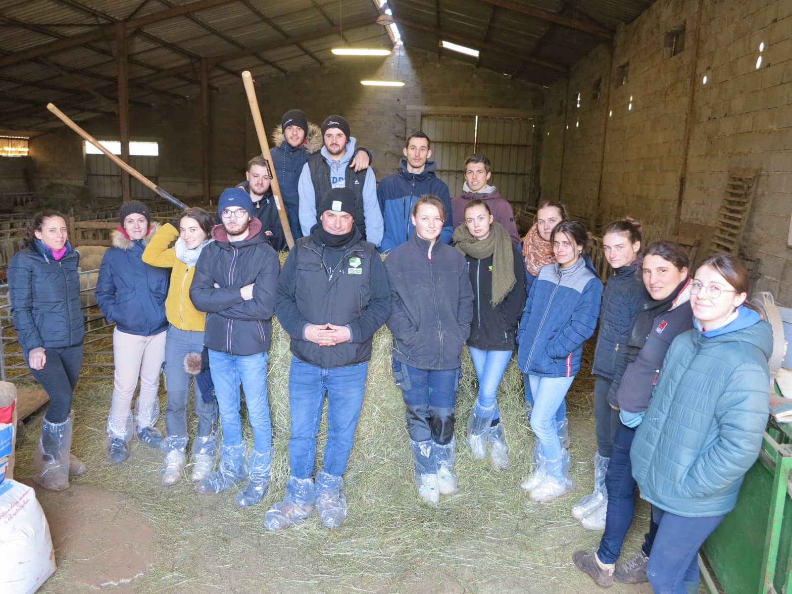 CS Ovin Viande&nbsp;: Formation de Référence pour les Passionnés d&rsquo;Élevage Ovin du Quercy