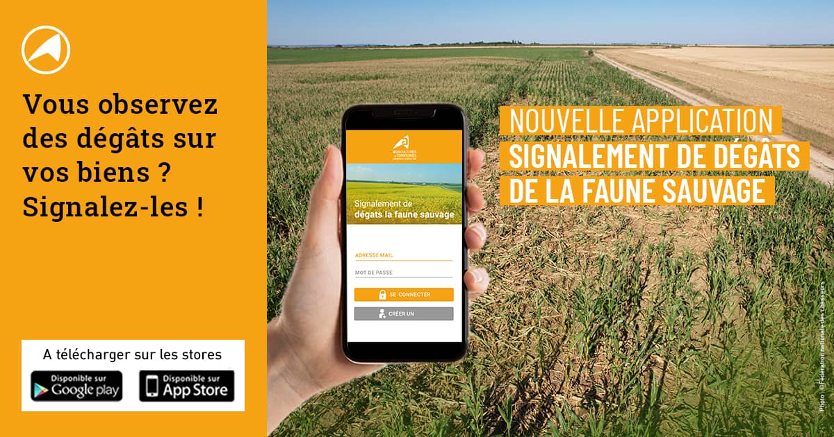 Une application pour signaler les dégâts de la faune sauvage
