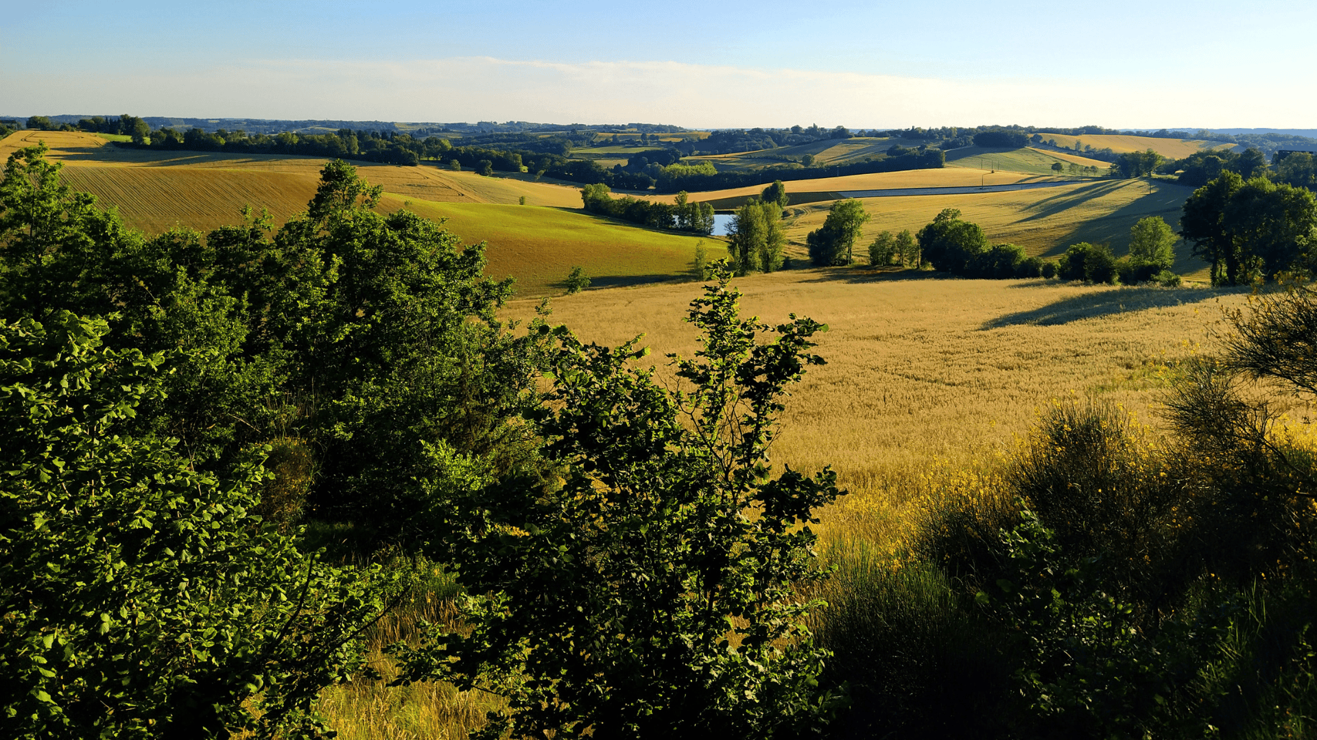 Gestion parcellaire de l’exploitation&nbsp;: Les atouts du logiciel Mes Parcelles