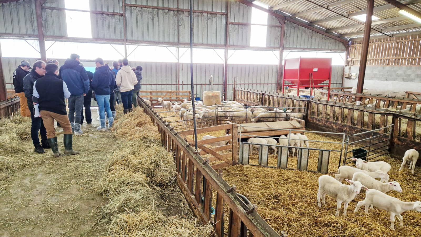 Édition 2023&nbsp;: Journée Technique Ovine